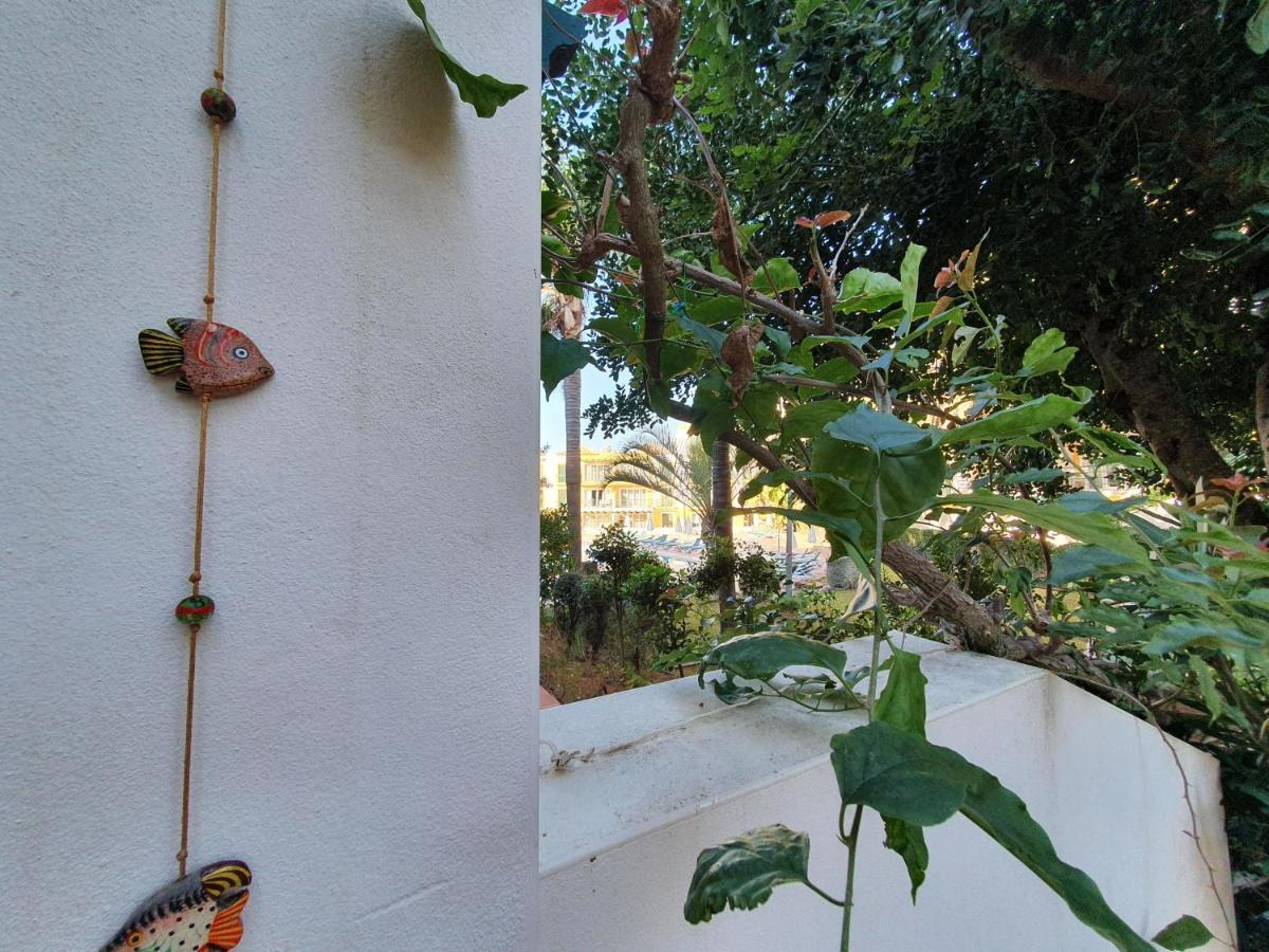 Nice 2 Bedroom Apartment Groundfloor Swimming Pool Tavira Exterior photo
